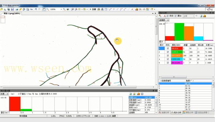 LA-S植物根系分析儀，根系分析系統(tǒng)，根系掃描儀，根系圖像分析儀，用于對(duì)洗凈的植物根系進(jìn)行多參數(shù)、批量化的快速自動(dòng)分析。